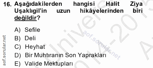 Soru 16