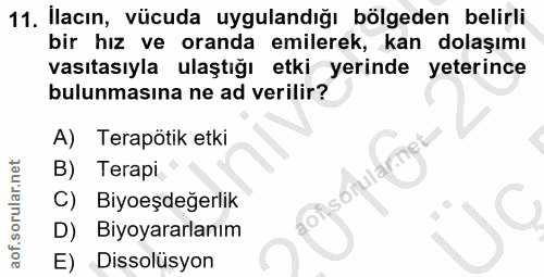 Soru 11