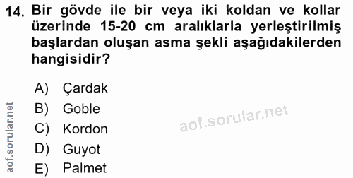 Soru 14