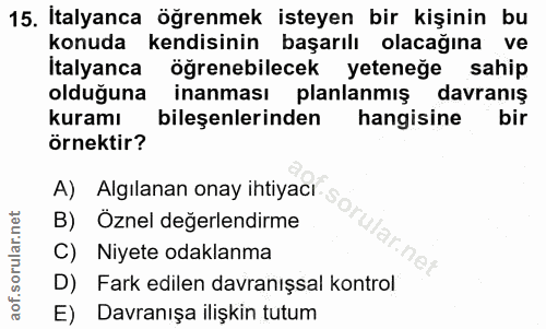 Soru 15