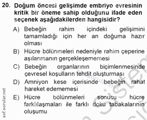Soru 20