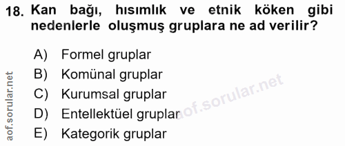 Soru 18