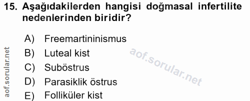 Soru 15