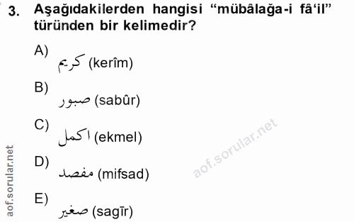 Soru 3