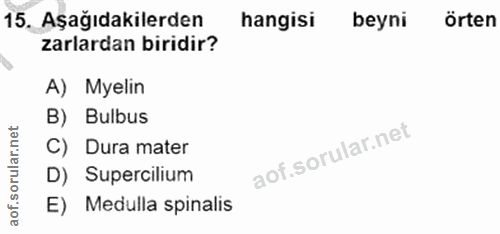 Soru 15