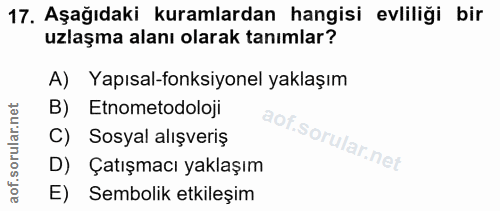 Soru 17