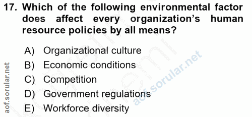 Soru 17