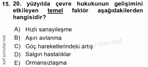 Soru 15