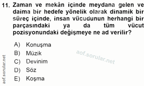 Soru 11