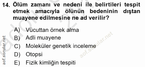 Soru 14