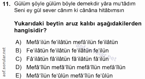 Soru 11