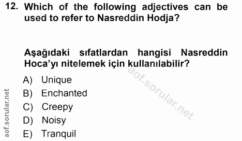 Soru 12