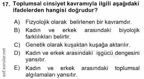 Soru 17