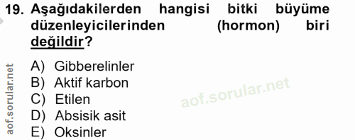 Soru 19