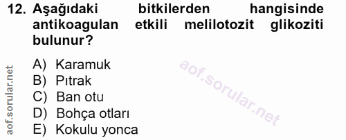 Soru 12
