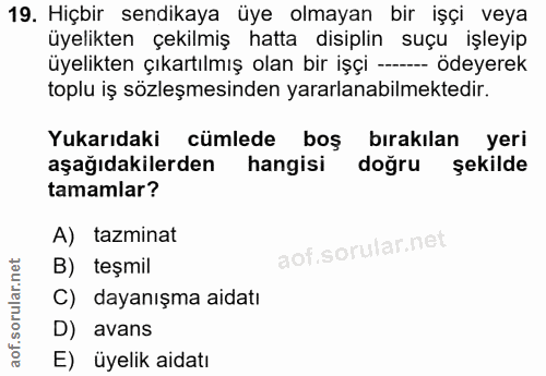 Soru 19