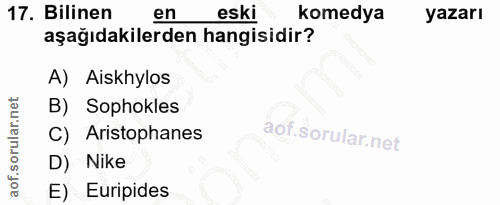 Soru 17