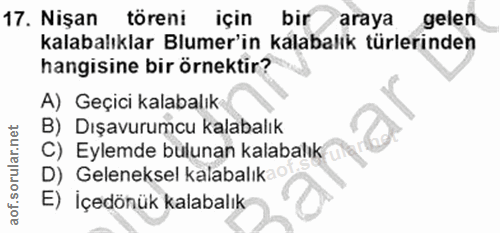 Soru 17