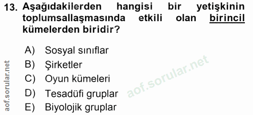 Soru 13