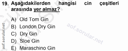 Soru 19