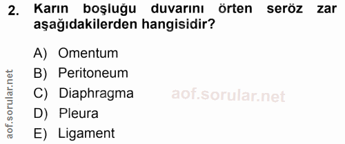 Soru 2