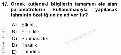Soru 17