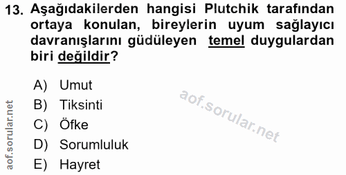 Soru 13