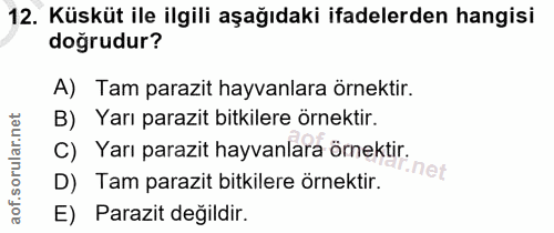 Soru 12