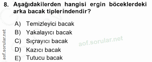 Soru 8