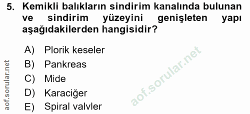 Soru 5