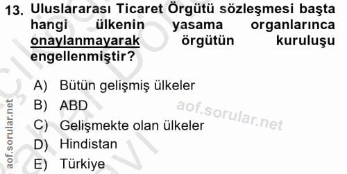 Soru 13