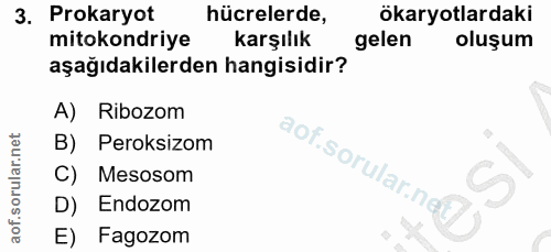 Soru 3