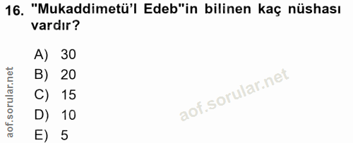 Soru 16