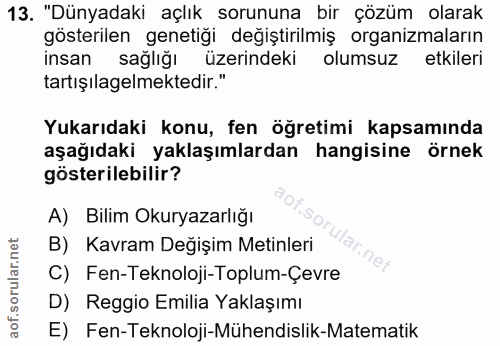 Soru 13