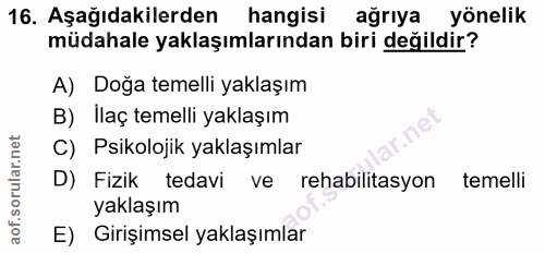 Soru 16