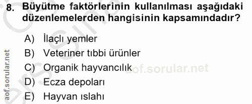 Soru 8