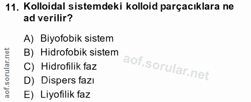 Soru 11