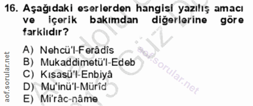 Soru 16