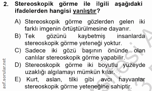 Soru 2