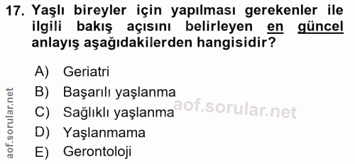 Soru 17
