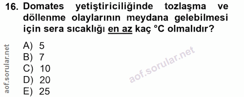 Soru 16