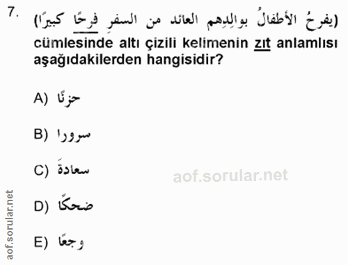 Soru 7