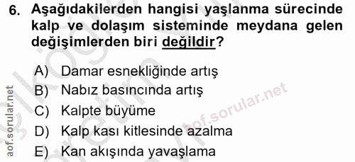 Soru 6