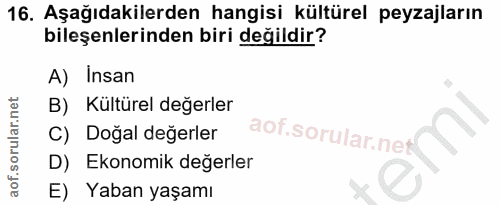 Soru 16