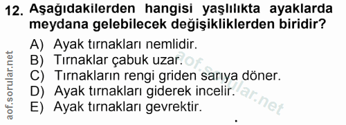 Soru 12