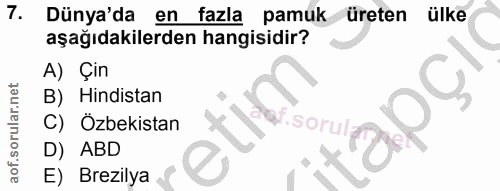 Soru 7