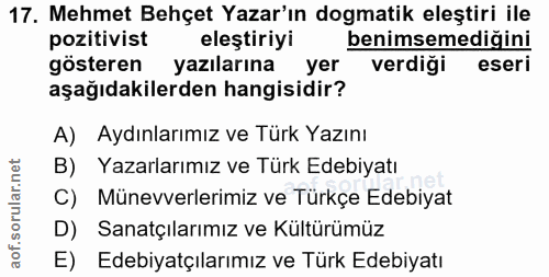 Soru 17