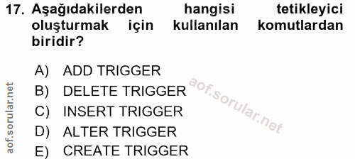 Soru 17
