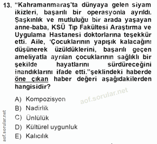 Soru 13