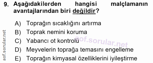 Soru 9